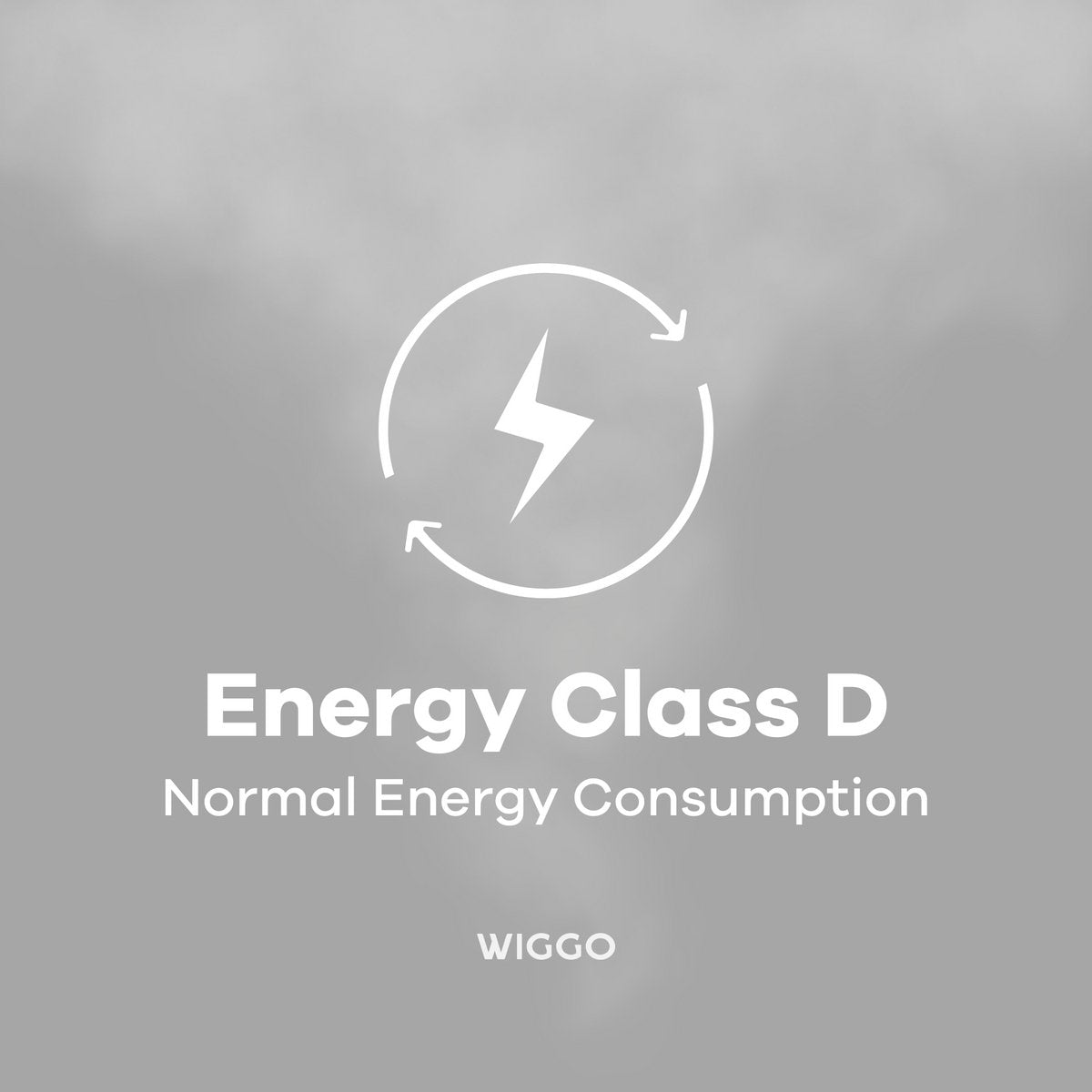Energy Class D icon with lightning bolt indicating normal energy consumption for Wiggo appliances.