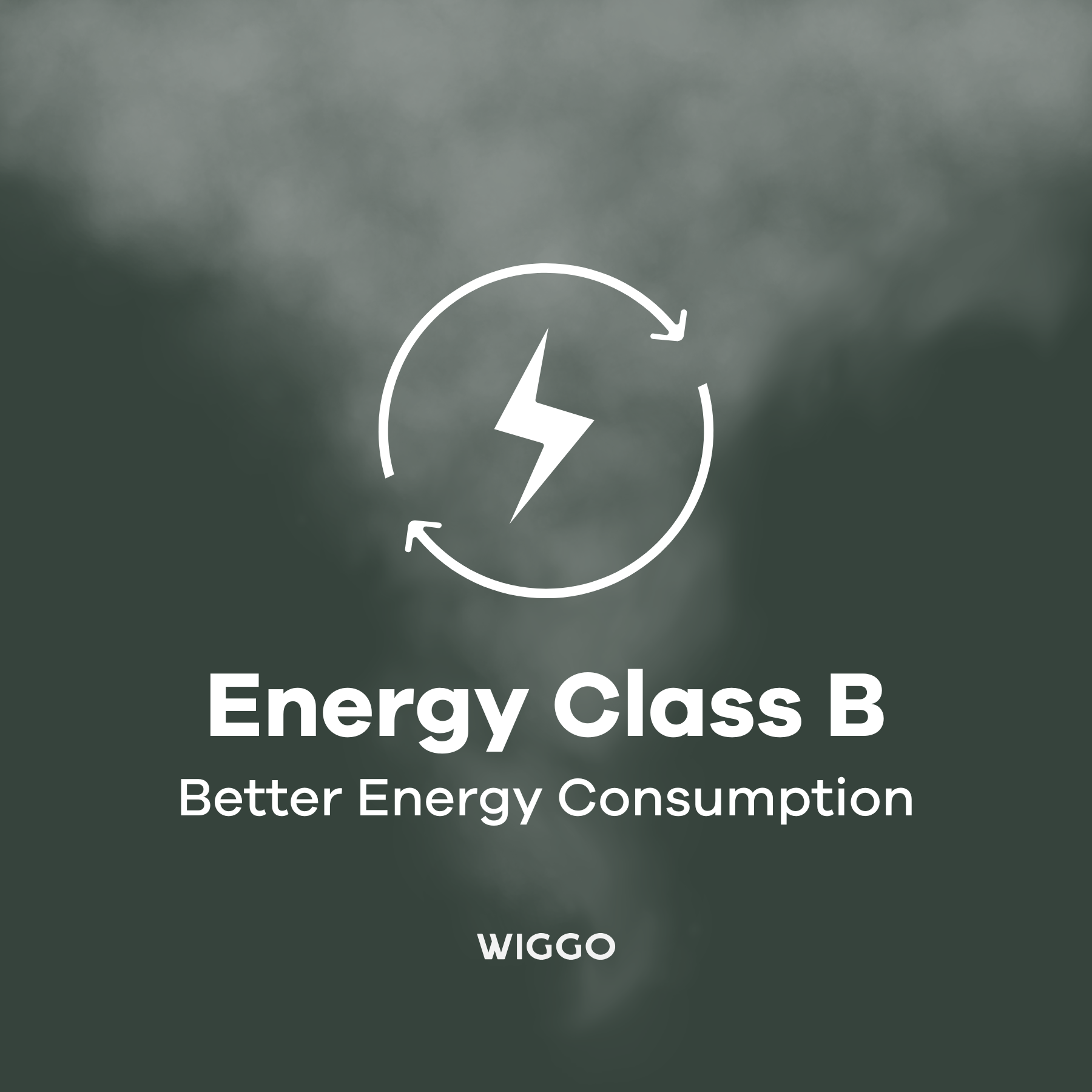 Energy Class B for better energy consumption on Wiggo kitchen appliances.